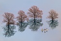 Аватара